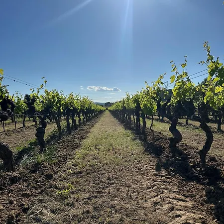 Les De Figon 펜션 *