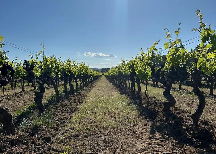 Les De Figon 펜션 *