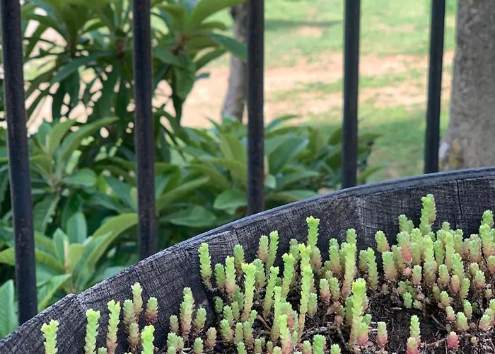 Holiday home Les De Figon